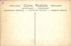 VINTAGE POSTCARD Plane Aviation the floatable biplane said Close Duck in full flight Colliex