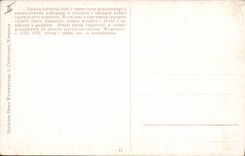 VINTAGE POSTCARD Illustrator Piekarski Z Ziema Sieradkiez