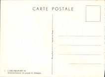 VINTAGE POSTCARD Plane Aviation the Loire Nieuport 40 Bombardment in spade and attacks