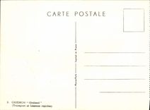 VINTAGE POSTCARD Plane Aviation Caudron fast Seagull Transport and connections