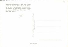 VINTAGE POSTCARD Plane Aviation Morane Saulnier S760 bets Plane of connection