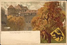VINTAGE POSTCARD Schlussplatz Illustrator in Stuttgart Wolf