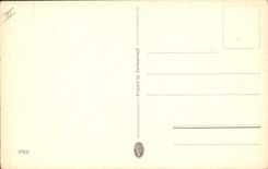 VINTAGE POSTCARD Japanese Japan Pheasant Bird