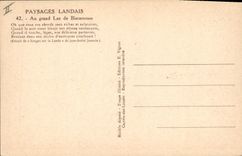 CPA Avion Aviation Paysages landais Au grand lac de Biscarosse Hydravion Moutons