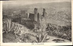 Opinión de Fes de la POSTAL de la VENDIMIA