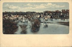 CPA Vaches Suisse