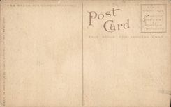 VINTAGE POSTCARD Almond Orchard In Blossom