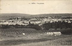 VINTAGE POSTCARD Saida View