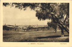 CPA Meknes Vue generale