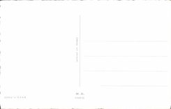 VINTAGE POSTCARD Happy Annurerraire Flowers