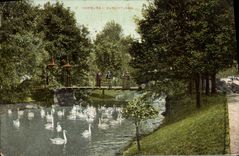 CPA Hamburg Gurlittinsel Cygnes