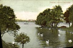 VINTAGE POSTCARD Hamburg Left year der Alster Swans