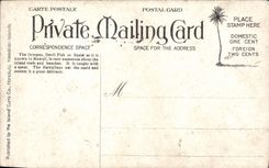 VINTAGE POSTCARD Octopus Devil Fisa Hawaiian Islands Octopus