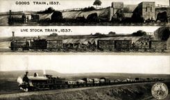 VINTAGE POSTCARD Train Goods Train 1837 Live stock Shap Summit 1904