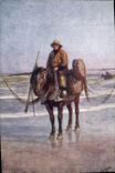 CPA Illustrateur A Shrimper on horseback Coxyde Peche 