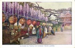 VINTAGE POSTCARD Japanese Japan Glycines with the temple of Kameido Tokyo Women