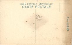 VINTAGE POSTCARD Japanese Japan Tree Volcano