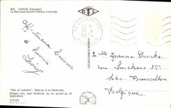 CPM Lisieux La Basilique Sainte Therese Illuminee