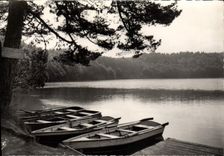 MODERN CARD Picturesque And Tourist Auvergne Against day of morning on the lake