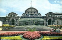 MODERN CARD Vichy the Large Casino