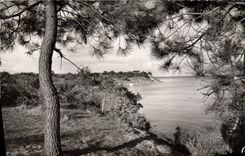 CPM Ile De Re Les Bords De La Cote