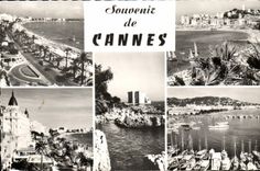 CPM Souvenir De Cannes