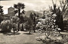 MODERN CARD Locarno Muralto