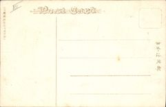 VINTAGE POSTCARD Japanese Japan Pheasant Militaria