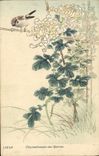VINTAGE POSTCARD Japanese Japan Chrysanthemums and Sparrow Bird Flowers