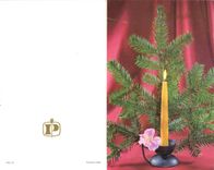 VINTAGE POSTCARD Fir tree