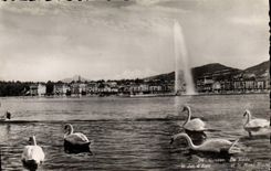 CPM Geneve La rade Le jet d'eau et le mont Blanc Cygnes 
