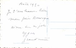 MODERN CARD Geneva roads the water jet and the Mount Blanc Swans