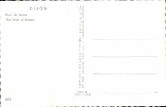 MODERN CARD Dijon Well Of Brace