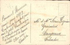 CPA Fantaisie Bonne Annee