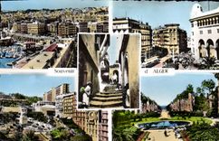 CPM Souvenir d'Alger