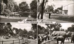 MODERN CARD Duisburg Tierpark Elephant Giraffe