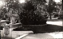 CPM Dijon Jardin Darcy Ours Blanc 