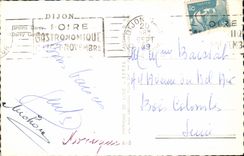 CPM Dijon Jardin Darcy Ours Blanc 