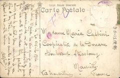 VINTAGE POSTCARD Japanese Japan Trees