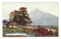 VINTAGE POSTCARD Japanese Japan Bridge of Tokaido Volcano