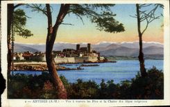 CPA Antibes Vue A Travers Les Pins Et La Chaine Des Alpes Neigeuses