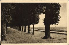 VINTAGE POSTCARD Soft France Saint Germain In Bush hammer Quincunxes of the terrace