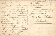 CPA Chiens Des Pyrenees