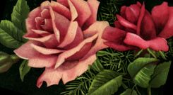 VINTAGE POSTCARD Fantasy Pink Flowers