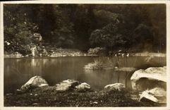 POSTAL Fischboedle de la VENDIMIA