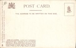 CPA Bateau US Revenue Cutter SErvice Line of Cadets