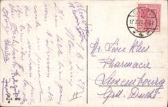 VINTAGE POSTCARD Illustrator Woman Chein Frechdachs