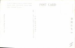 VINTAGE POSTCARD Large Japanese Japan goes down for hearing Hall Ninomaru Palace Nijo Castle