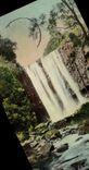 VINTAGE POSTCARD Trentham Falls