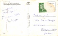 CPM Martinique L Enfant Aux fleurs